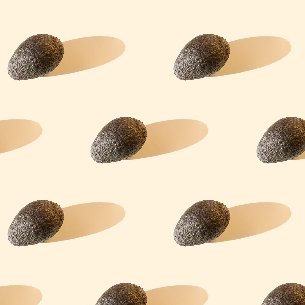 Avocats rangés en ligne