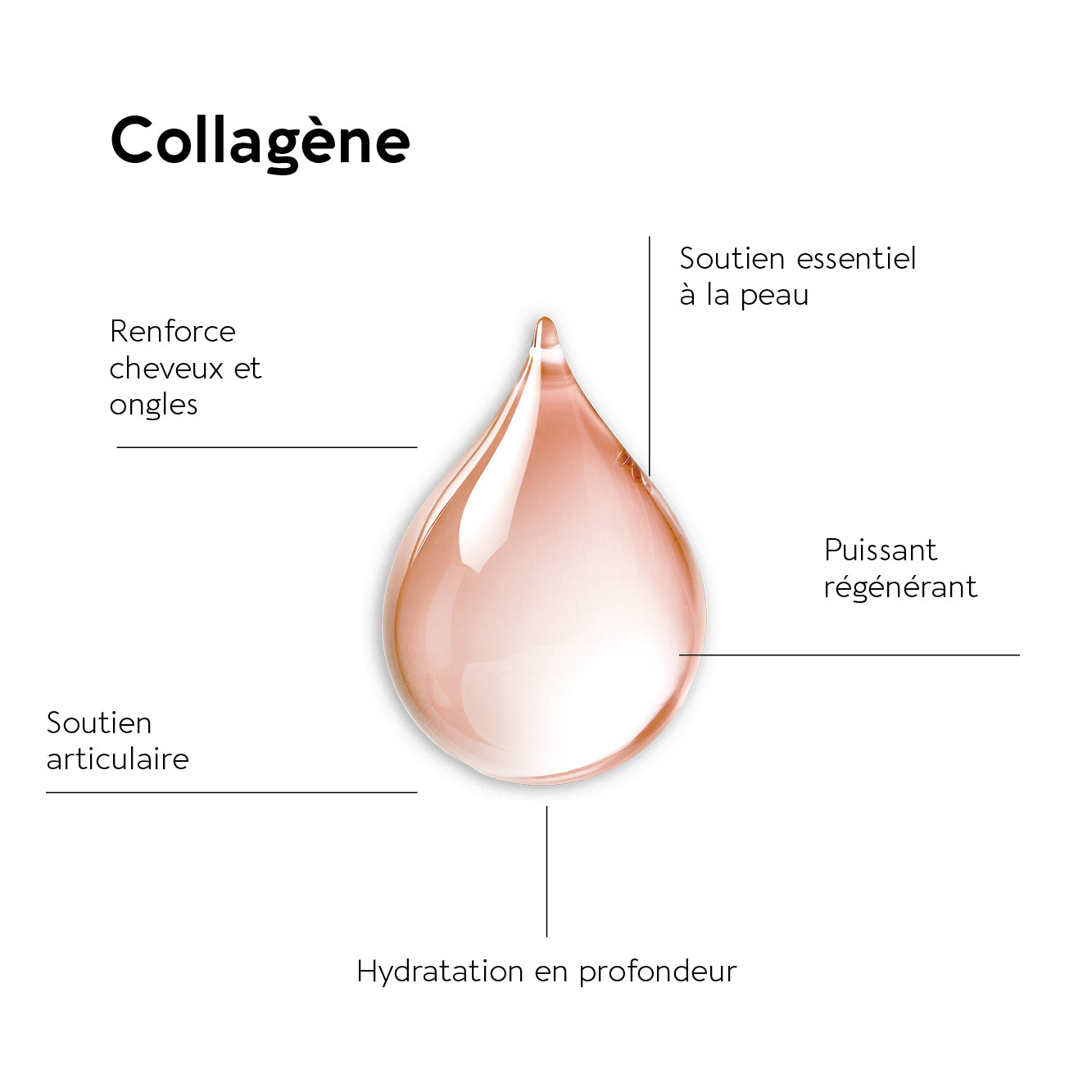 COLLAGEN MAX MARIN CACAO 10 G