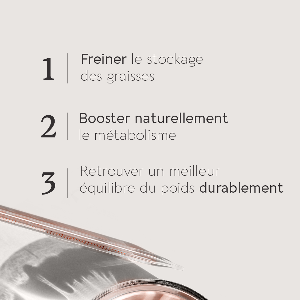 LE BRÛLEUR AU MOROSIL® 400