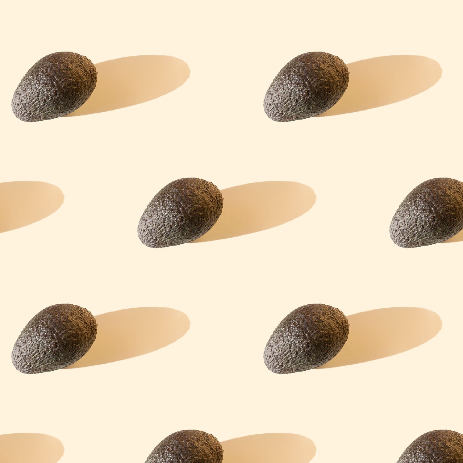 Avocats rangés en ligne