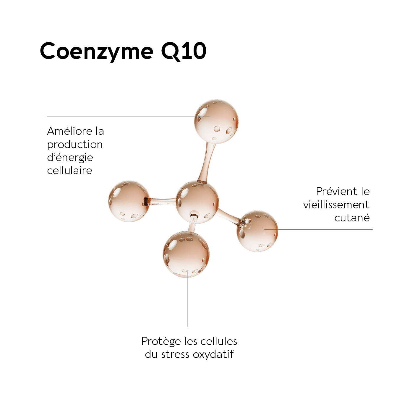 SKIN COMPLEX LIPOSOMAL